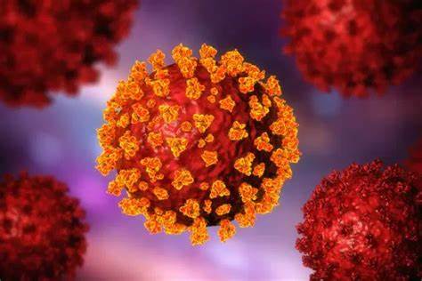 coronavirus