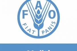 @FAOHaiti